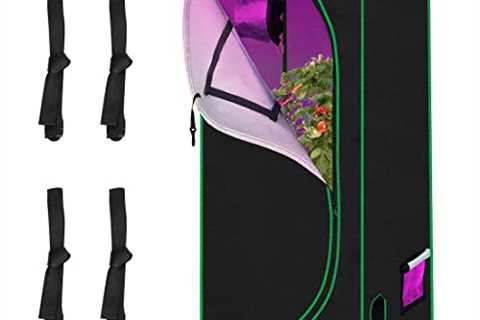 Quictent Approved 24x24x55 Reflective Mylar Hydroponic Grow Tent with Obeservation Window and Floor ..