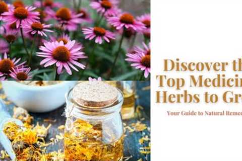 Discover the Top Medicinal Herbs to Grow: Your Guide to Natural Remedies