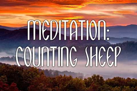 Meditation: Counting Sheep // Sleep Meditation for Women