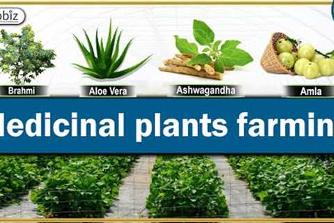 Medicinal Plants Farming | Medicinal Plants Cultivation Business | Medicinal Herbs | Corpbiz