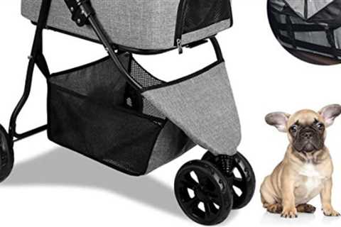 These are the 11 Best Cat Strollers for Transporting Your Furry Friends