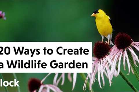 20 Ways To ATTRACT WILDLIFE to Your BACKYARD GARDEN — Ep. 112