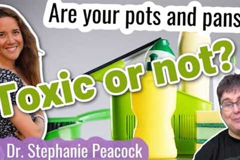 Are Your Pots & Pans Safe to Cook In? Dr. Steph Talks Non-Toxic Cookware