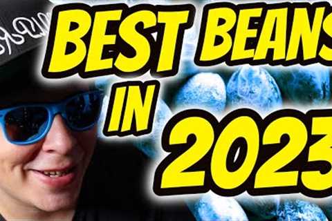 TOP 6 Bean Companies In 2023