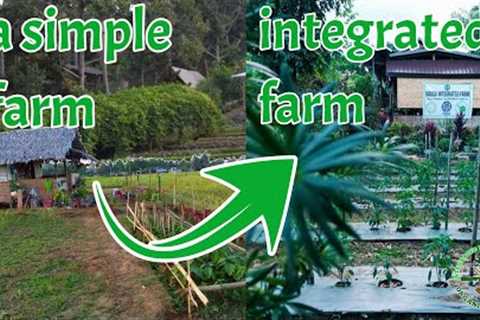 Paano maging successful ang isang farm into Integrated Farm? Integrated Farming in the Philippines