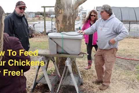 Biopod Black Soldier Fly Chicken Feed & Fertilizer