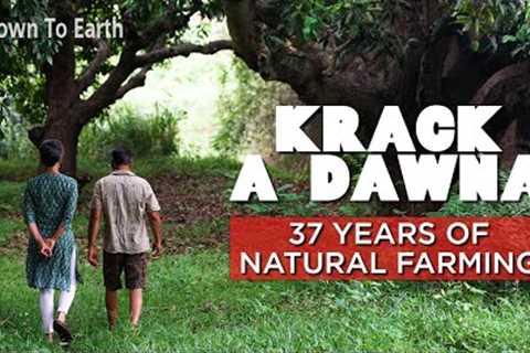 Krack- a- Dawna: How a young couple pioneered natural farming in Mysuru