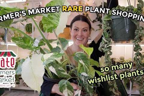 $20 Philodendron Gloriosum At Farmer''s Market!! Rare Plant Shopping & House Plant Haul -..