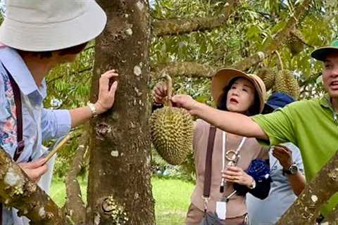 Prolific harvest sa orchard dahil sa Honeybees + Ano advantage ng Durian organic farming?