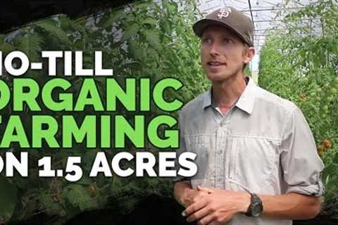 No-Till Farming and Market Gardening in Zone 5b, 5,200ft (FULL TOUR)