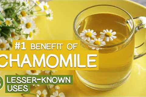 Chamomile Tea 101, Essential Info on this Worldwide Favorite