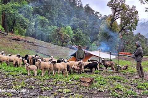 Nepali Mountain Village Life |Rainy Day | Sheep shepherd Life | organic Food |Real Nepali Life |