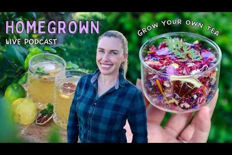 Growing herbs and creating your own sustainable tea garden at home