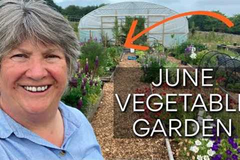 All the Vegetables in Kitchen Garden in June | Veg Garden Tour