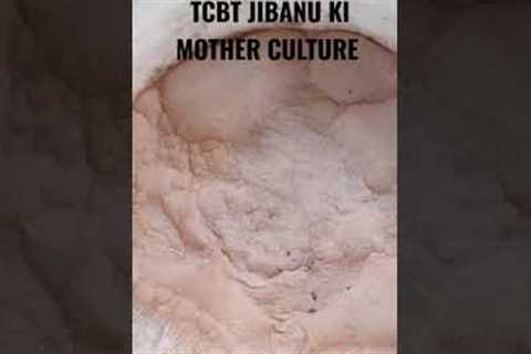 Jibanu ghul, Jibanu mother culture, #tcbt #organic farming #tractor #bgmi live #adipurush dialogue