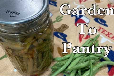 Canning Green Beans with Denali Canner: Tips, Techniques, and a Special Guest!