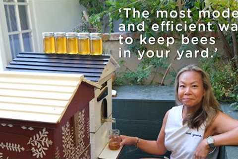Backyard micro-farm gets pollination boost and a honey harvest in 3 months