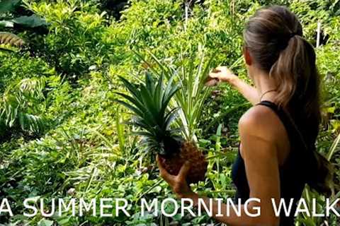 MORNING RITUAL IN MY FOOD FOREST