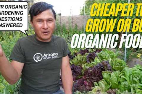 Cheaper to Grow or Buy Organic Food? + Gardening Questions Answered
