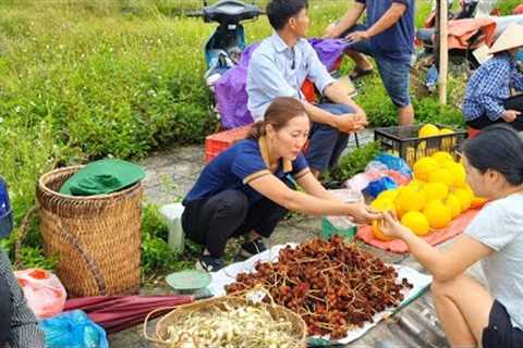Harvesting medicinal herbs to bring to the market - Daily life - Loc Thi Huong