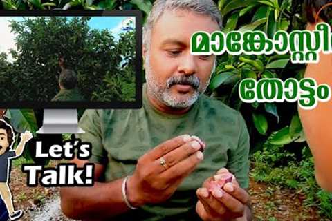 Mangosteen Fruit Malayalam | Organic Farming Kerala