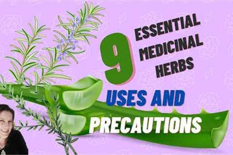 Top 9 essential medicinal herbs to grow for home remedies, along with their uses and precautions
