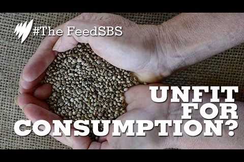 Hemp seed: the new superfood? I The Feed