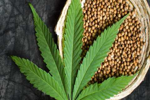 The Benefits of Hemp: What Makes it So Special?