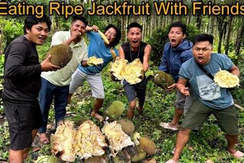 Eating Ripe Jackfruit With Friends || Our Organic Jackfruit Farm || Village Life Natural Life