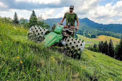 What is Ökoheu? Cutting Switzerlands biodiverse mountain meadows. (Farming the alps #11)