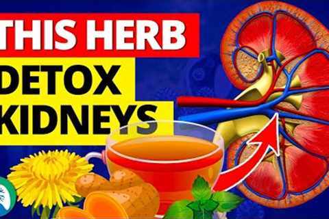 THIS Medicinal Herbal Tea Can Detox Your Kidneys 🍵