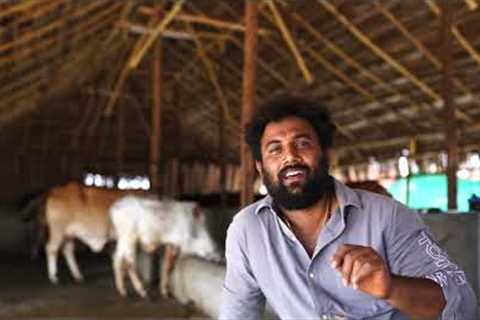 Ksheera Organic Milk - Introducing Our Cattle''s , Hebbevu Farms A Fully Managed Farm Land Bangalore