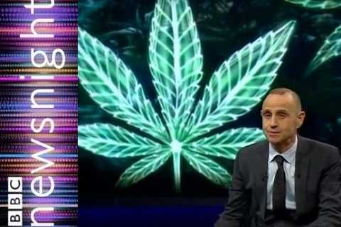 Can Cannabis oil reduce cancerous tumors?  – Newsnight