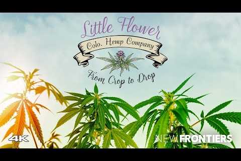 The Little Flower Colorado Hemp Company in Organic Hemp Farming and Products