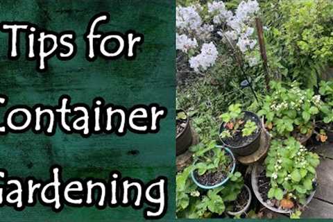 Tips for Container Gardening