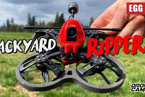 BACKYARD RIPPER! â AuroraRC EGG V2 2â³ Cinewhoop â FULL REVIEW & FLIGHTS