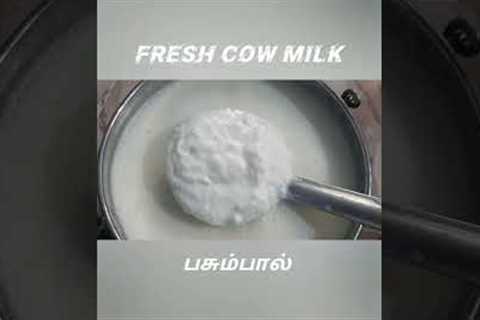 #my business #my dreams #homemade organic pure cow ghee #cow milk curd buttermilk and butter 🐄🐄🐄