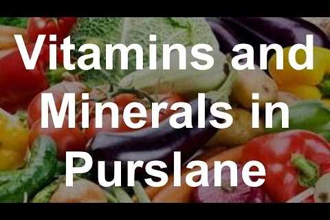 Vitamins and Minerals in Purslane â Health Benefits of Purslane