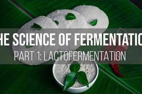 The Science of Fermentation: Lactofermentation