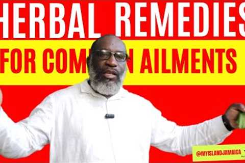 😲PRICELESS! Dr. Israel Shared his BEST Herbal Remedies! 🇯🇲 #herbal #remedies #Q&A