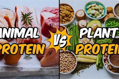 Animal Protein vs Plant Protein: Which Is Best For You?