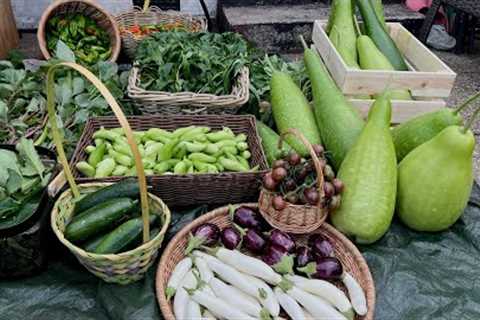 Harvesting Unbelievable Largest Deshi Organic Garden Vegetables of 2023  in UK | Garden to Kitchen