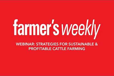 Webinar: Strategies for sustainable & profitable cattle farming