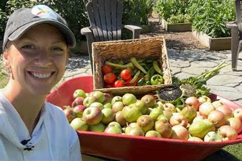 Shopping My Garden for Free Produce & Flower Seeds!! Trick for Removing Chaff from Seed +..