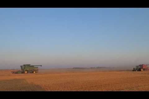harvest in the wheat!!