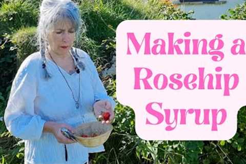 How to Make Rosehip Syrup