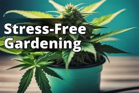 The Ultimate Guide to Growing Marijuana for Stress Relief: A Beginner’s Perspective
