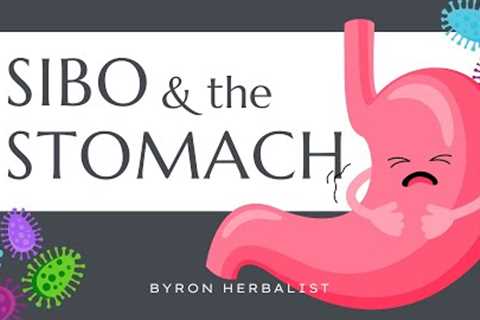 Poor Digestion: The SIBO-Stomach Connection
