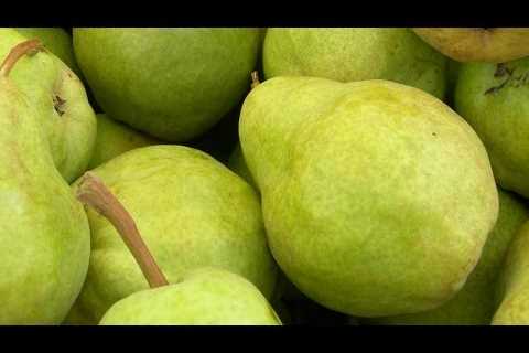 Vitamins and Minerals in Pears â Pear Health Benefits