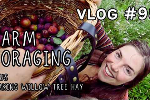 FARM FORAGING | PLUM HARVEST | MAKING WILLOW TREE HAY | PERMACULTURE FOOD FOREST | VLOG 98